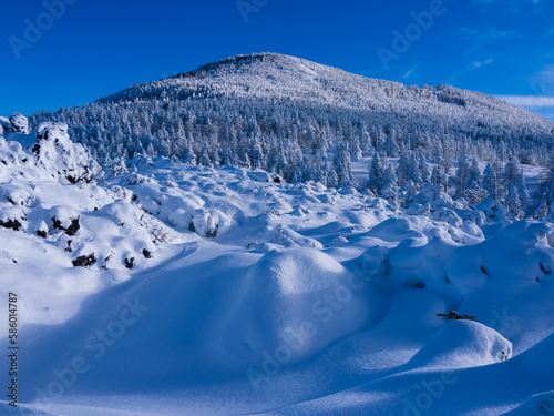 厳冬期の縞枯山