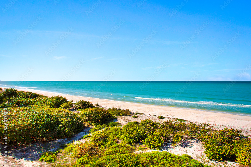 Florida Beach View with Clear Blue Skies, Calm Water and Healthy Green Vegetation in the Foreground