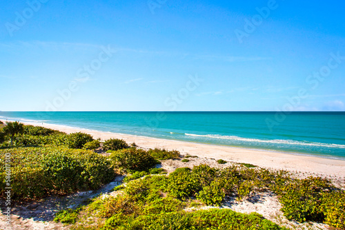 Florida Beach View with Clear Blue Skies, Calm Water and Healthy Green Vegetation in the Foreground