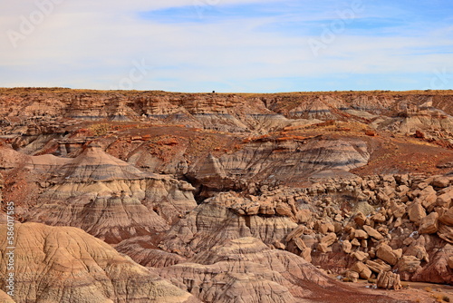 Petrified Forest National Park  a natural attraction place with many petrified tree trunks and fossils  in Arizona  USA.