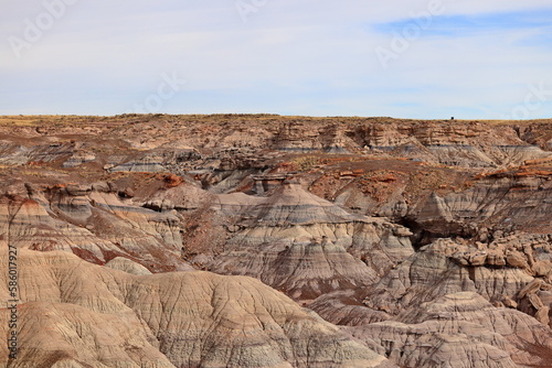 Blue Mesa Scenic Trail  Petrified Forest National Park  Arizona  USA