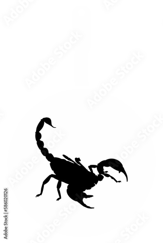 Scorpion on the Pan Silhouette for Bizarre or Extreme or Exotic Food, Traditional Food in Asian Country, Culinary Sign for Icon Symbol, Apps, Pictogram, Logo, Website, or Graphic Design Element. PNG © Berkah Visual