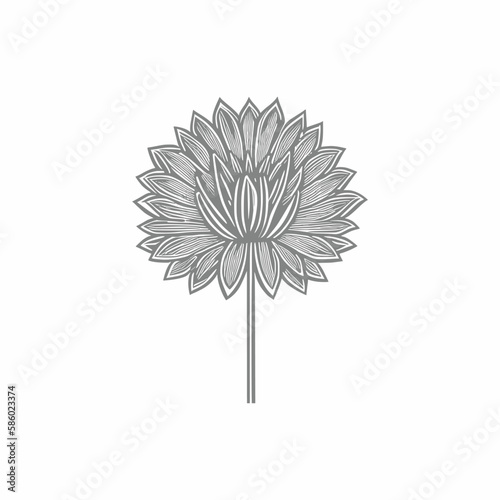 Wonderful flower. Vector illustration. Coloring book page for adults. Black and white line. Love bohemia concept for wedding invitation cards, branding, Coloring page, and label.