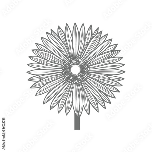 Wonderful flower. Vector illustration. Coloring book page for adults. Black and white line. Love bohemia concept for wedding invitation cards, branding, Coloring page, and label.