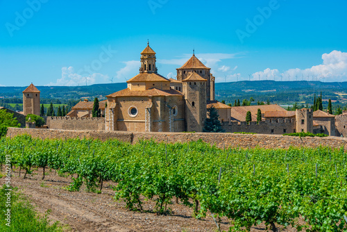 Monastery of Santa Maria de Poblet behind vineyards in Spain photo