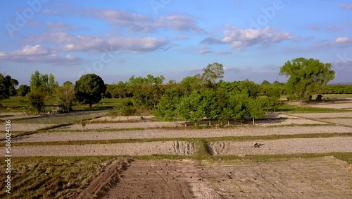 Aerial top view fly forward of farmer working in paddy field, Tractor field prepared for planting rice in spring beautiful clouds and blue sky in background.