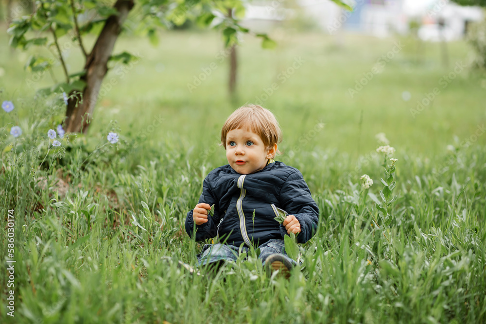 Toddlers exploring park. A child walks in nature on a sunny day. Boy running in the park. Child having fun and enjoy a weather. All kids love play with stick. Happy childhood. Inquisitive childhood. Toddlers exploring park. A child walks in nature on a sunny day. Boy running in the park. Child having fun and enjoy a weather. All kids love play with stick. Happy childhood. Inquisitive childhood.