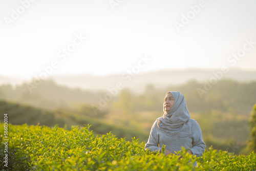 Asian Muslim woman wearing hijab looking at the view Choui Fong Tea Plantation Viewpoint, Tea Plantation, Chiang Rai Province, Thailand, muslin travel. photo