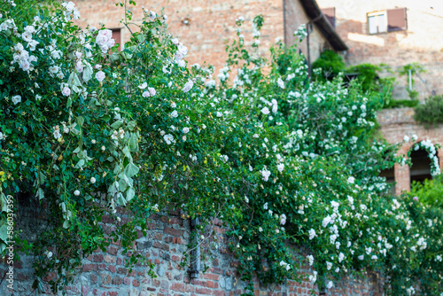 Ville ancienne dans la r  gion Ombrie en Italie