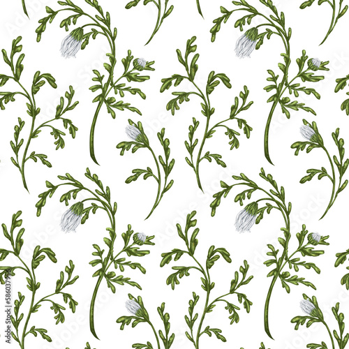 Seamless pattern with wildflowers with white buds. Floral background for textiles  fabrics  banners  wrapping paper and other designs. Digital illustration on a white background
