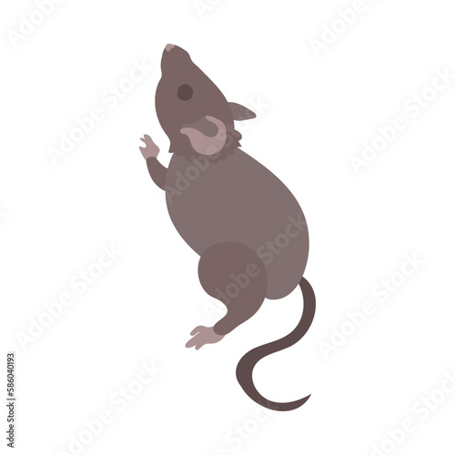よじ登ろうとするハツカネズミ。フラットなベクターイラスト。
A house mouse trying to climb up. Flat designed vector illustration.