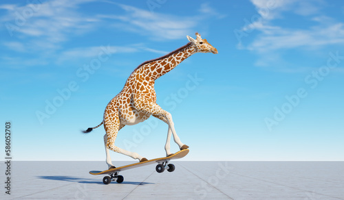 Giraffe on skateboard. Impossible and happiness concept. photo