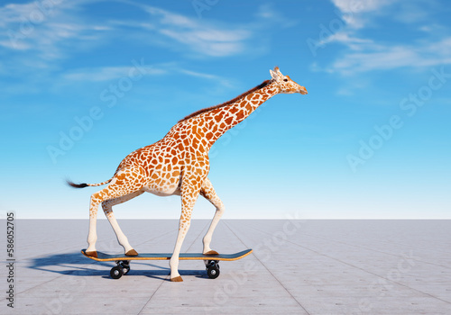 Canvas Print Giraffe on skateboard. Impossible and happiness concept.