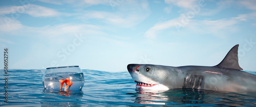 Shark attacks a goldfish. photo