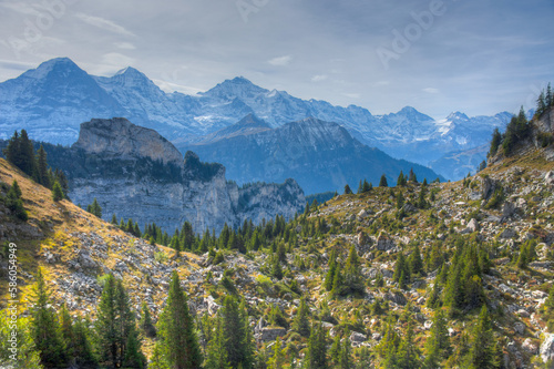 Panorama view of Bernese Alps from Schynige Platte in Switzerland photo