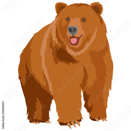 wild grizzly bear