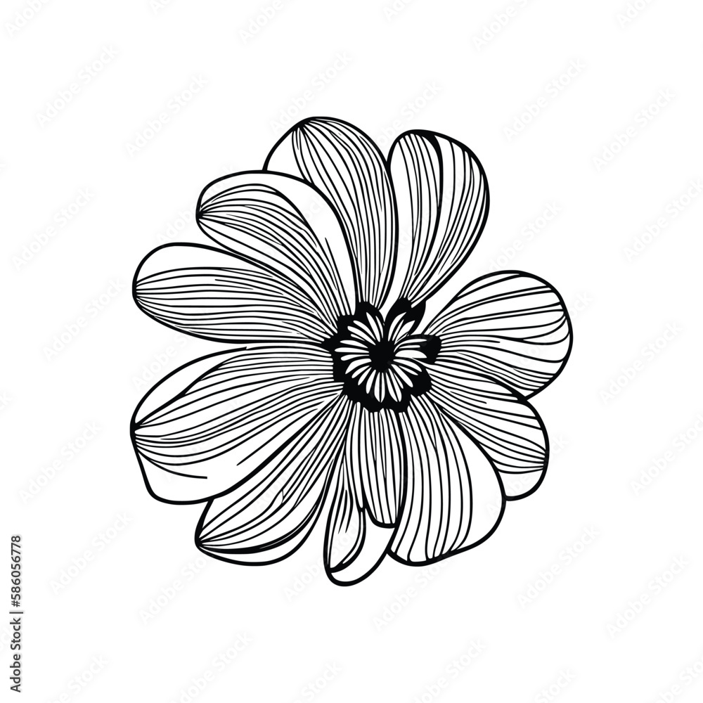 Obraz premium Floral drawing. Art coloring page,using Child Coloring book.