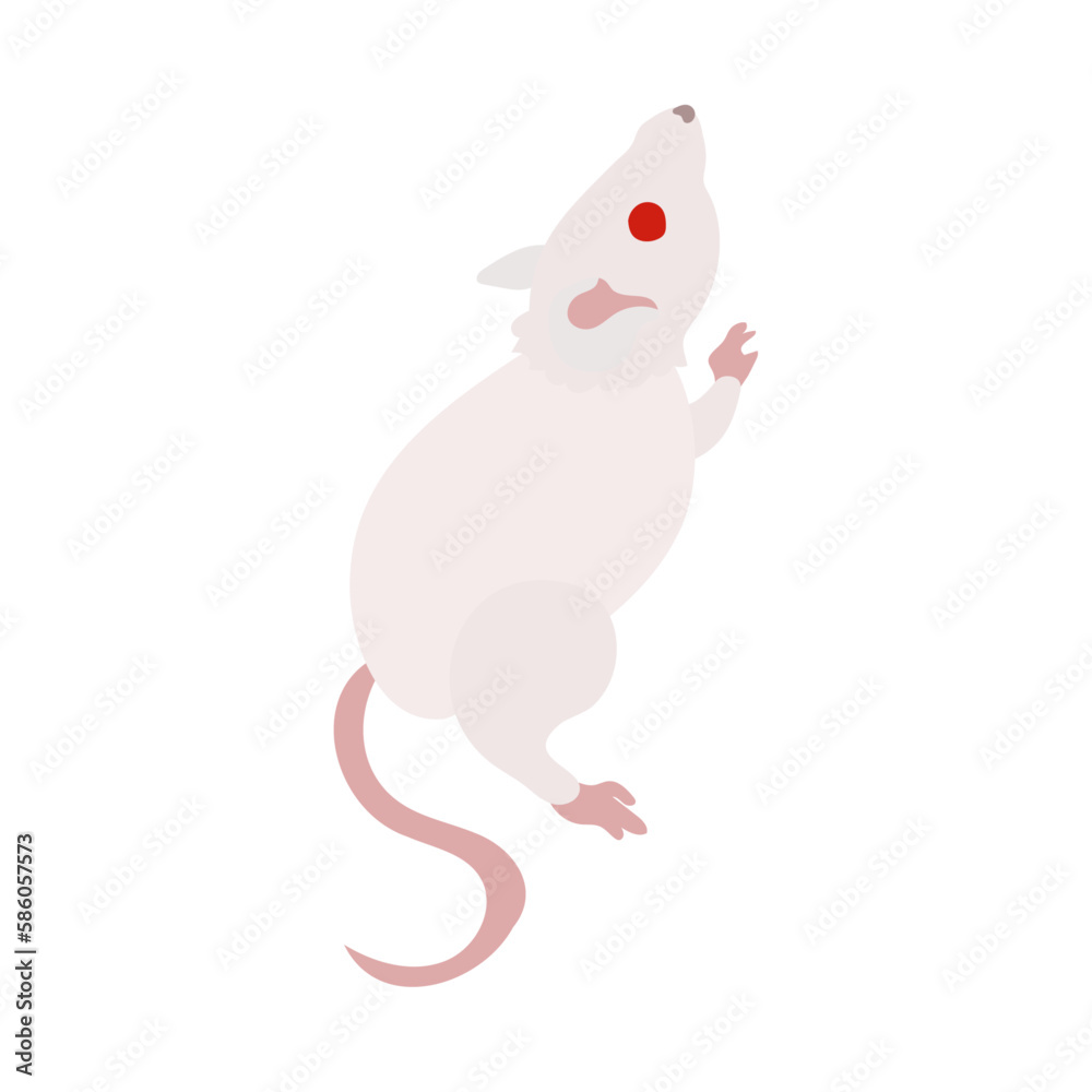 よじ登ろうとするアルビノの白いハツカネズミ。フラットなベクターイラスト。
An albino white house mouse trying to climb up. Flat designed vector illustration. よじ登ろうとするアルビノの白いハツカネズミ。フラットなベクターイラスト。
An albino white house mouse trying to climb up. Flat designed vector illustration.