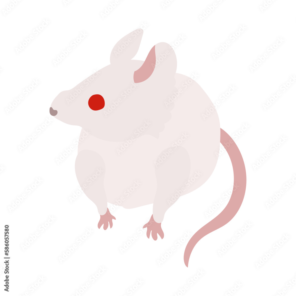 横を向くアルビノの白いハツカネズミ。フラットなベクターイラスト。
A sideways-facing albino white house mouse. Flat designed vector illustration. 横を向くアルビノの白いハツカネズミ。フラットなベクターイラスト。
A sideways-facing albino white house mouse. Flat designed vector illustration.