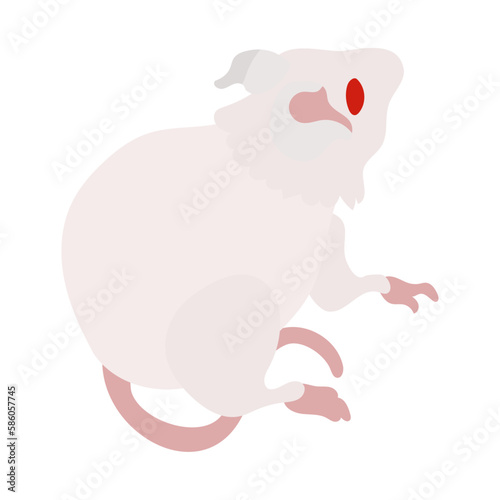 斜め後ろを向くアルビノの白いハツカネズミ。フラットなベクターイラスト。
An albino white house mouse facing diagonally backwards. Flat designed vector illustration. photo