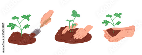 Set hand drawn illustrations of planting tree in the ground with human hands. Home gardening.
