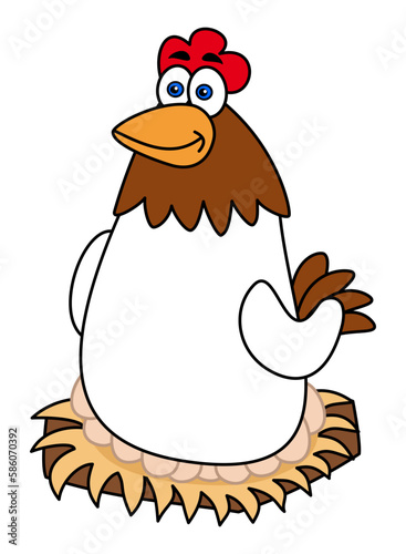 A white laying hen incubating eggs on a white background