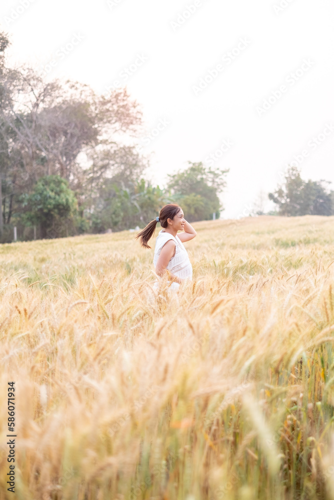 Young Asian women  in white dresses  in the Barley rice field season golden color of the wheat plant at Chiang Mai Thailand