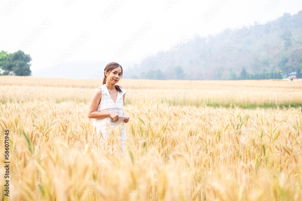 Young Asian women in white dresses in the Barley rice field season golden color of the wheat plant at Chiang Mai Thailand Young Asian women in white dresses in the Barley rice field season golden color of the wheat plant at Chiang Mai Thailand