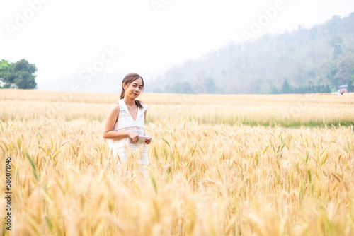 Young Asian women in white dresses in the Barley rice field season golden color of the wheat plant at Chiang Mai Thailand