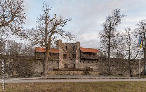 castle Haapsalu photo