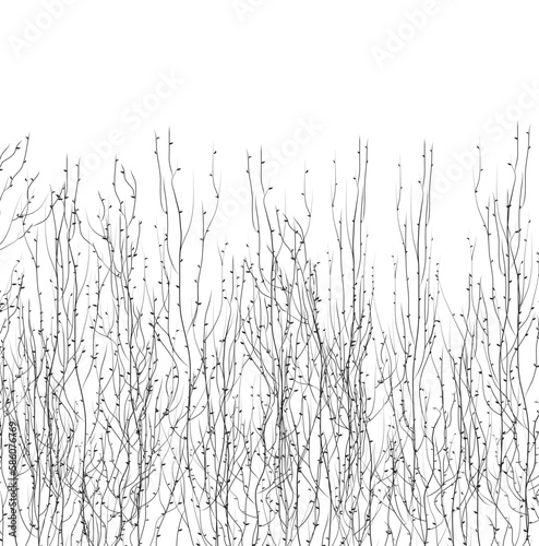 grass on white
