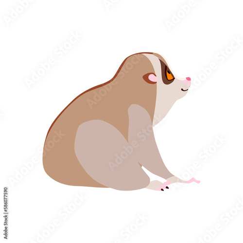 Animal illustration. Sitting slow loris drawn in a flat style. Isolated objects on a white background. Vector 10 EPS photo