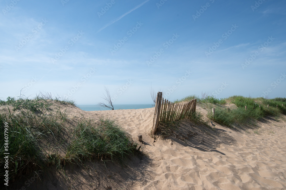une dune sur l'île d'Aix