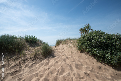 sur la dune © veroniquepeyle
