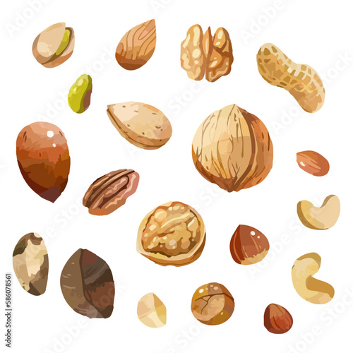 Set of Nuts. Hand drawn watercolor vector illustration. Almond, peanuts, walnut, cashew, macadamia nuts, pistachio.