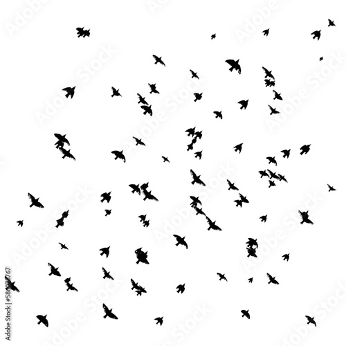 A flock of flying birds. Free birds. Vector illustration