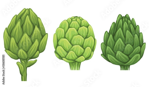 Vector set of hand drawn artichokes isolated from background. Collection of head of cabbage healthy vegetables.
