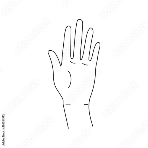 hand gesture woman showing hands cartoon human palm and wrist vector communicate or talk with messenger emojis.