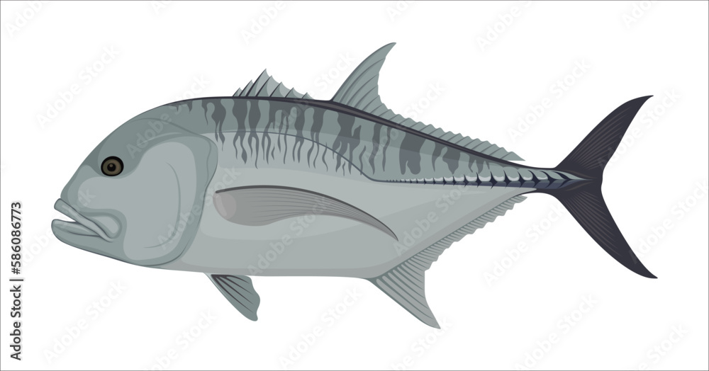 Giant Trevally Fish Sea Food Animal Vector Illustration Giant Trevally Fish Sea Food Animal Vector Illustration