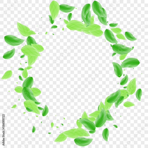 Green Sheet Background Transparent Vector. Foliage Abstract Card. Silhouette Design. Greenish Grow Illustration. Vegetation Creative.