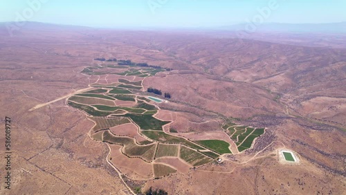 Establishing aerial view over Fray Jorge vineyard in Limari Chilean valley surrounded by arid dry land photo