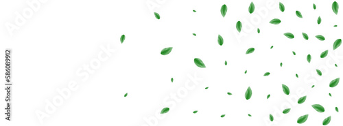 Light Green Plant Background White Vector. Vegetation Symbol Design. Vivid Texture. Greenish Border Frame. Leaves Wind.