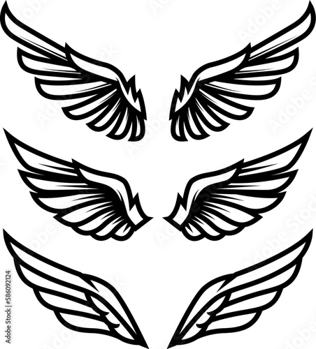 Illustration of the bird wings. Design element for logo, label, sign, emblem. Vector illustration