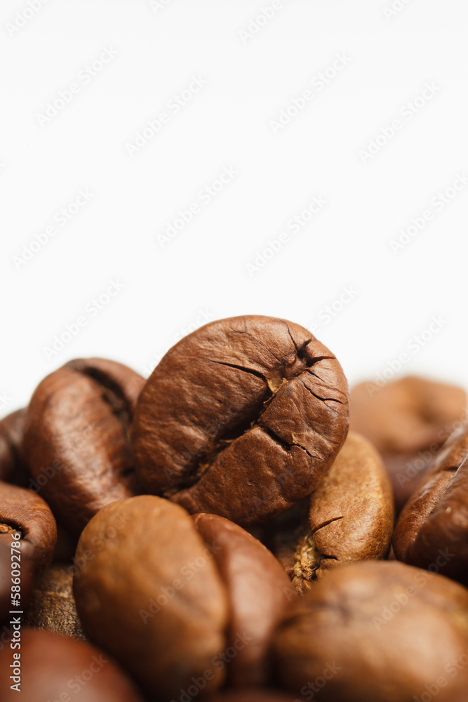 Fototapeta premium Coffee beans on white background. Copy space for text