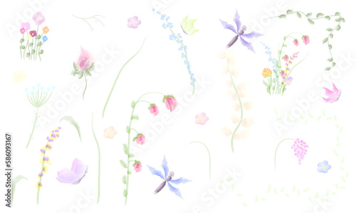 set with watercolor flowers leaves of dragonfly butterfly twigs on white background veltor image 