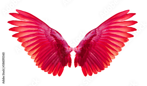 Fototapeta Naklejka Na Ścianę i Meble -  red wings on transparent png