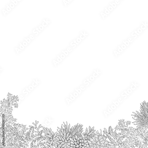 vector sea weed plant arrangement