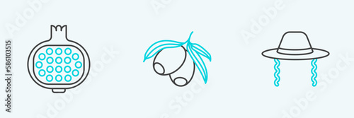 Set line Orthodox jewish hat, Pomegranate and Olives branch icon. Vector