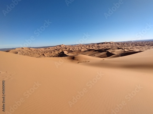 sahara