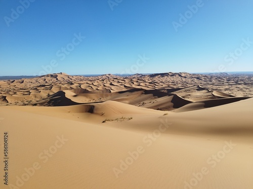 sahara